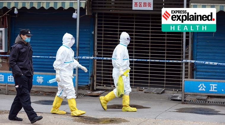 FILE - In this Jan. 27, 2020, file photo, workers in protective gear carry a bag containing a giant salamander that was reported to have escaped from the Huanan Seafood Market in Wuhan in central China's Hubei Province. (Chinatopix via AP, File)