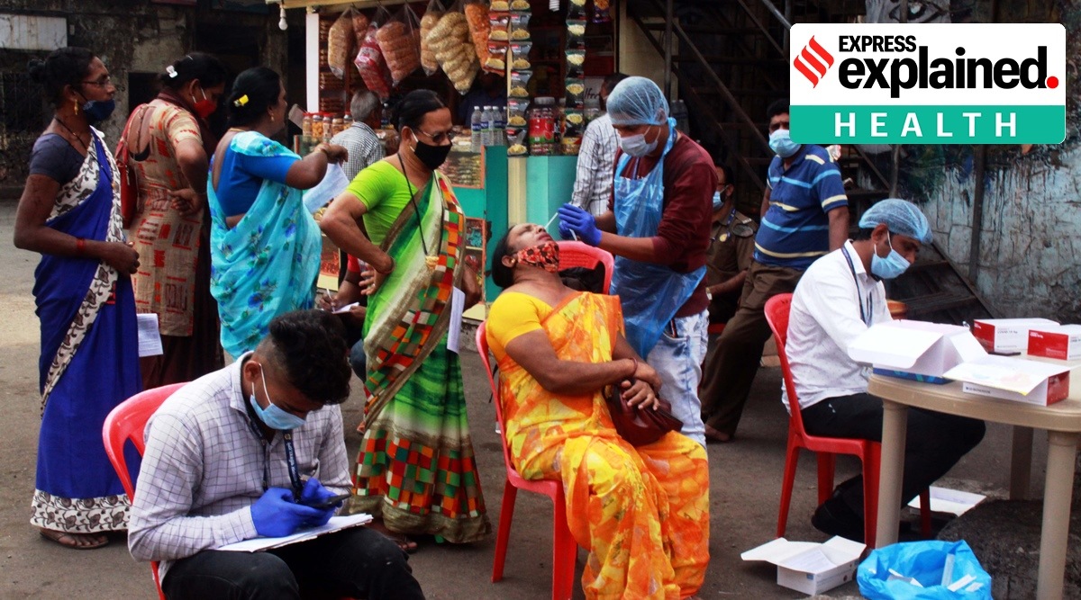 covid-19 immunity, coronavirus immunity, coronavirus vaccines, covid latest update, coronavirus patients,