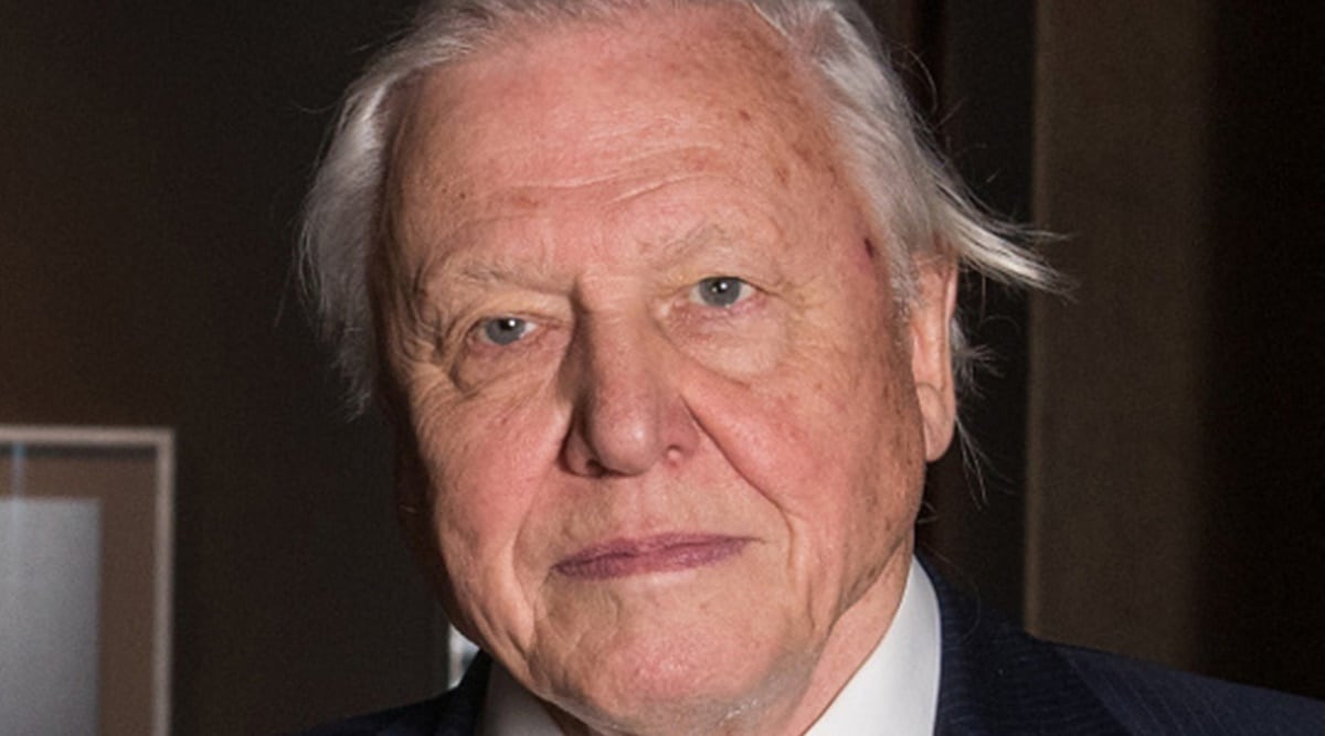 Sir David Attenborough, Sir David Attenborough news, Sir David Attenborough vegetarian, Sir David Attenborough naturalist, Sir David Attenborough updates, netflix Sir David Attenborough A life on our planet, Sir David Attenborough environment quotes,