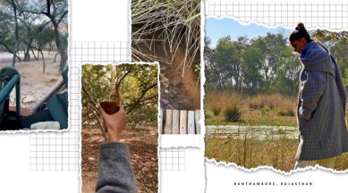 deepika padukone, time out, taking a break, why take a break, indianexpress.com, indianexpress, new year, ranthambore, taking a break importance, why to take a break, deepika padukone news, ranthambore, ranthambore news, ranveer singh news,