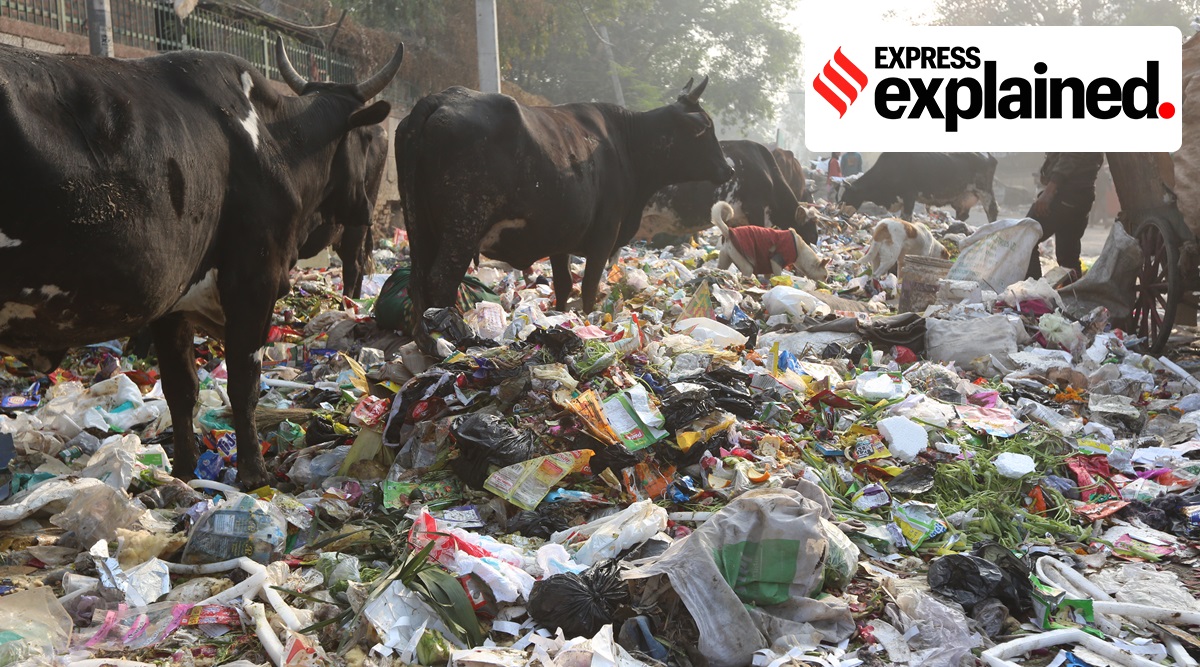 Garbage piled up in New Delhi as civic workers continued their strike (Express Photo: Prem Nath Pandey)