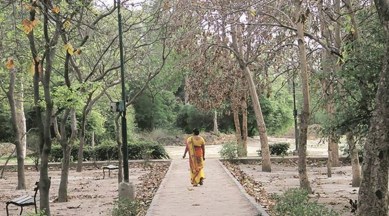 South Delhi parks, yoga at parks, MCD budget proposal, professional yoga teachers, Delhi news, Indian express news