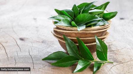 curry leaves, uses of curry leaves, health benefits of curry leaves, indianexpress.com, indianexpress, curry leaves paste, curry leaf paste, curry leaves for hair care, hair fall remedy, curry leaves for weight loss,