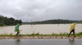Kodagu, Kodagu rains