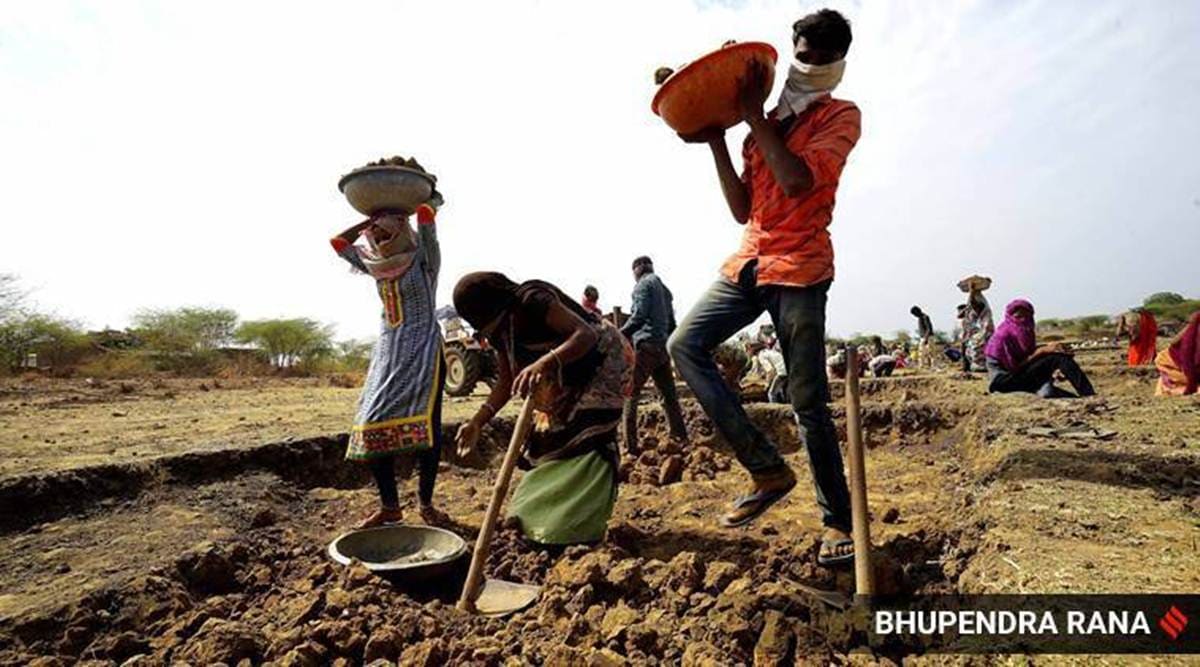 With recovery taking roots, job scheme outlay cut to Rs 73,000 crore