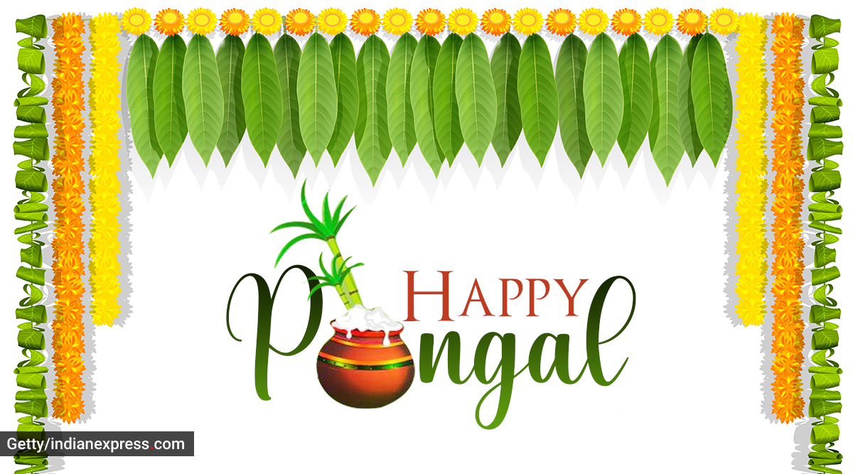 Happy Pongal 2021: Wishes Images, Quotes, Status, Messages ...