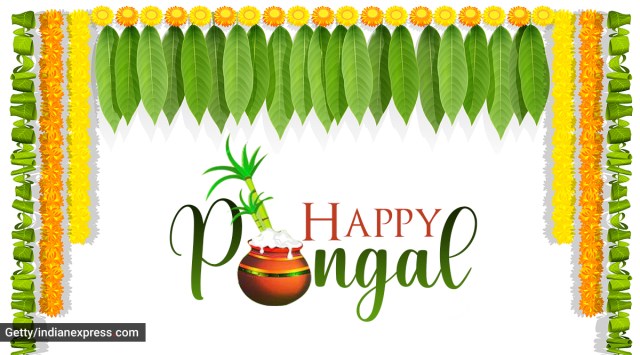 Happy Pongal 2021 Wishes Images: Happy Pongal. (Designed by Gargi Singh)