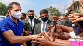 Rahul Gandhi, Tamil Nadu, Tamil Nadu polls