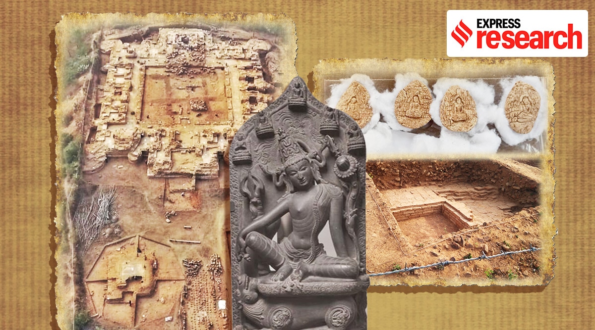 Buddhism in Bihar, Krimila Bihar, Lost city of Krimila, Krimila Buddhism, Bihar Buddhist monastery, Buddhis monastery Bihar, Alexander Cunningham, Bihar and Buddhism, Buddhism and bihar, Krimila Bihar Buddhism, Krimila temples, Buddhism news, Buddhism Bodh Gaya Bihar, Krimila BIhar news, Bihar latest news, Lal Pahari Bihar, ViJayashree bhadra,ViJayashree bhadra monk, Vijayashree bhadra woman monk