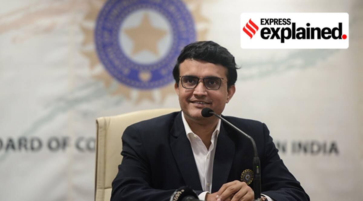 Explained Why Politicians Made A Beeline To Meet Sourav Ganguly In