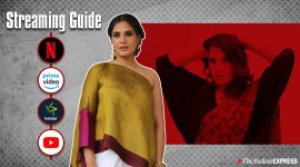 richa chadha movies