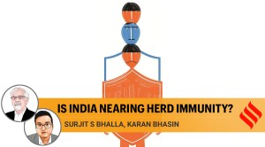 Only India stands out with a flattening curve among those that had earlier experienced an explosion of infections