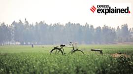 An Expert Explains: Issues in Indian agriculture
