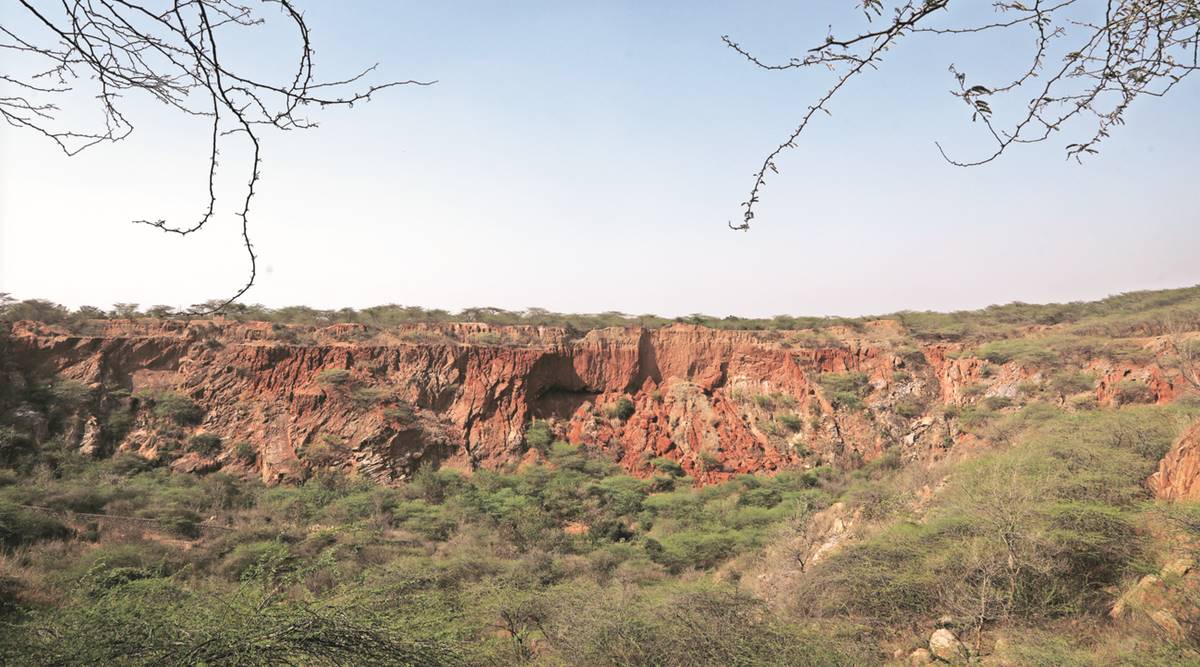 More wildlife in Aravallis at Faridabad, Gurgaon than at Asola, need better protection: Study