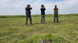 bihu, bihu bird count, bihu bird counting assam, bird census, Magh Bihu, christmas bird census, bird species, assam news, indian express