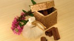 ayurveda, ayurveda practice, young practitioners in ayurveda, young ayurveda persons, young ayurvedic practitioners, indianexpress.com, indianexpress,