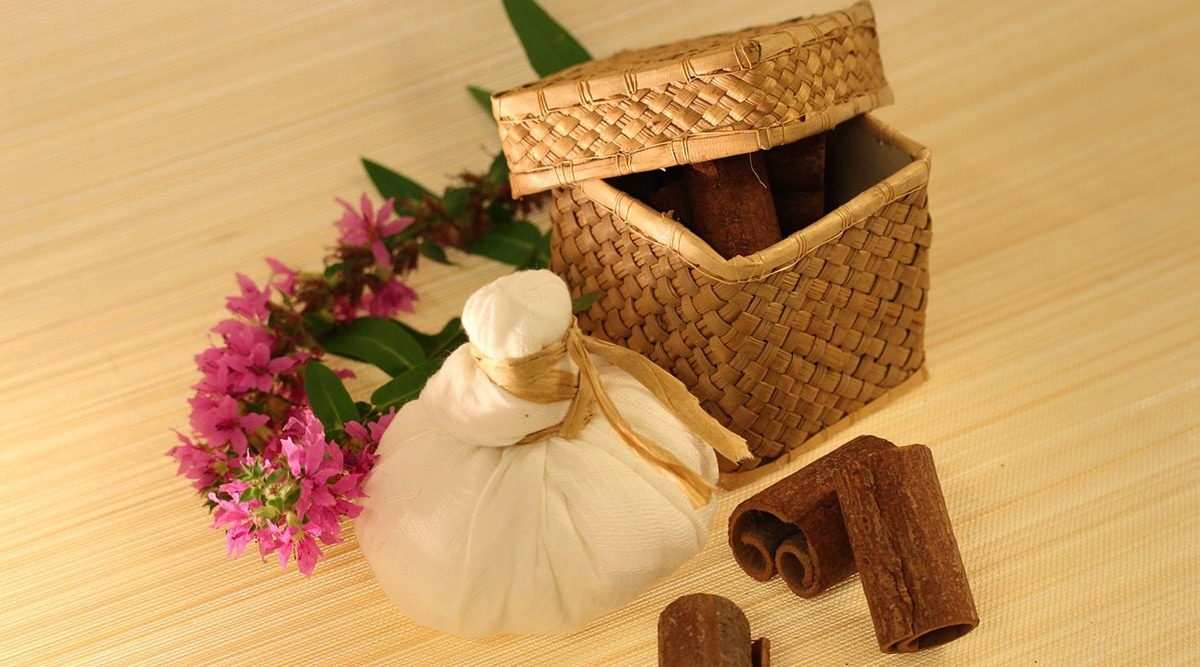 ayurveda, ayurveda practice, young practitioners in ayurveda, young ayurveda persons, young ayurvedic practitioners, indianexpress.com, indianexpress,