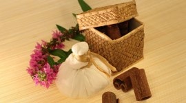 ayurveda, ayurveda practice, young practitioners in ayurveda, young ayurveda persons, young ayurvedic practitioners, indianexpress.com, indianexpress,