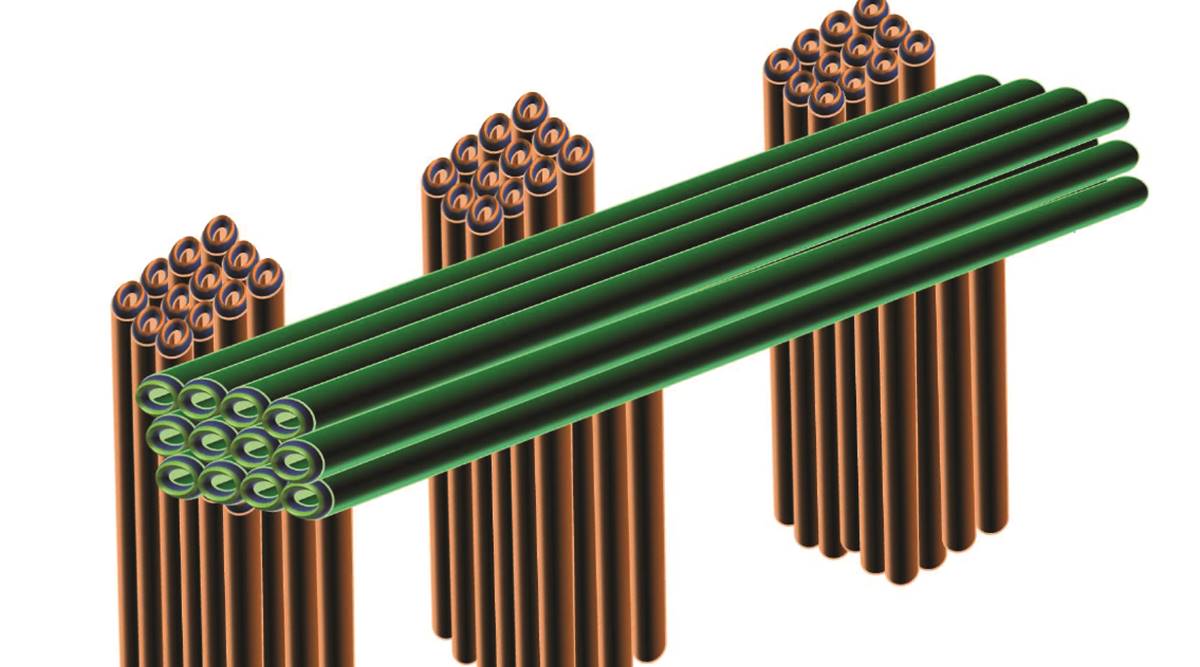 In bamboo clone crash barriers, a cost-effective road safety solution