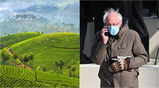 bernie sanders, bernie sanders memes, kerala tourism, kerala tourism bernie memes, bernie mitten memes, bernie sanders mittens memes, bernie india memes, indian express