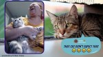 funny cat videos, cat nail trimming video, bad cat nail trim video, sexythick79 cat video, viral tiktok cat nail trim video, indian express