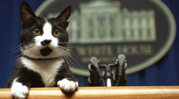 Casa Blanca, Joe Biden Pets, White House Pets, US News, Indian Express News