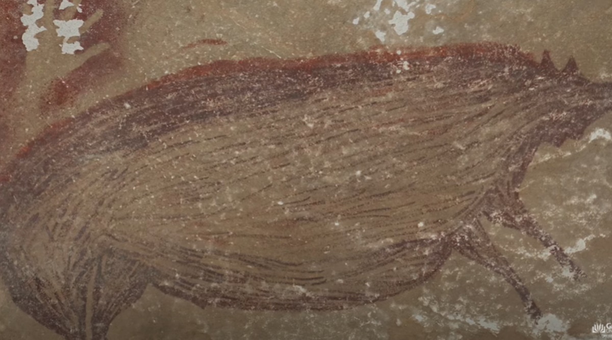 cave painting, griffith university
