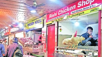 Bird flu, bird flu in india, bird flu india, bird flu news, Chicken prices, indian express news