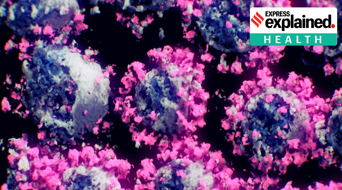 coronavirus, coronavirus variants, virus variant US, coronavirus new variant, coronavirus us variant, what is us coronavirus variant, sars cov 2 virus mutation, virus mutation US, sars-cov-2 virus, sars-cov-2 virus, sars-cov-2 new variant