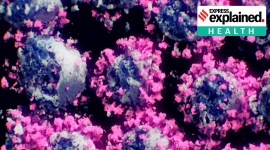 coronavirus, coronavirus variants, virus variant US, coronavirus new variant, coronavirus us variant, what is us coronavirus variant, sars cov 2 virus mutation, virus mutation US, sars-cov-2 virus, sars-cov-2 virus, sars-cov-2 new variant