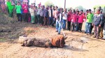 crocodile, crocodile rescued in vadodara, crocodile rescue, indian express news