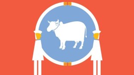 cow science, national cow exam, national exam on cow, cow education india, indian education, education news