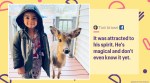 4-year-old and deer friendship, 4-year-old and deer viral picture, human and deer unusual friendship, human and animal friendships, 4-year-old deer best friend, Trending news, Indian Express news