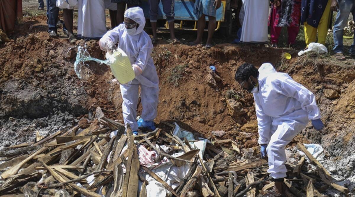 bird flu, bird flu news, bird flu Haryana, bird flu in India, bird flu rajasthan, bird flu kerala, bird flu in kerala, bird flu in madhya pradesh, bird flu in himachal pradesh, kerala bird flu, bird flu in india 2021, bird flu latest news, bird flu symptoms, bird flu bird flu in humans, bird flu Kerala, avian flu India