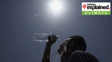 2020 hottest year, hottest year on record, global warming, global temperature,
