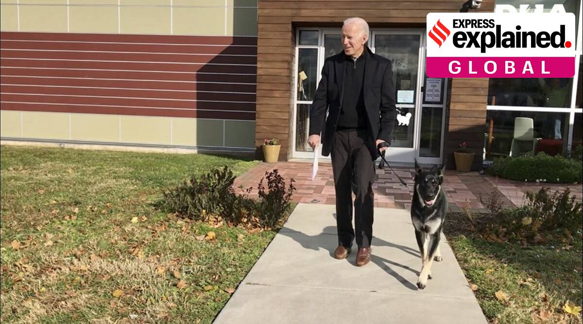 Joe Biden, Joe biden Pets, joe biden pets in White House, white house, US news, indian express explained