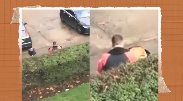 uk, uk woman, McDonald’s customer delivery boy ate order outside her home, just eat, just eat order, trending, indian express, indian express news