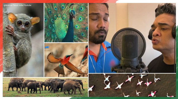 republic day, republic day 2021, 72nd republic day, animal planet, Saare jahaan se achha’ voices of animals, animal planet viral, patriotic song animal voices, RaagaTrippin, indian express news, Trending news