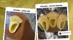 pasta meme, singing pasta memes, screaming pasta, pasta scream photoshop challenge, funny pasta memes, latest memes, indian express