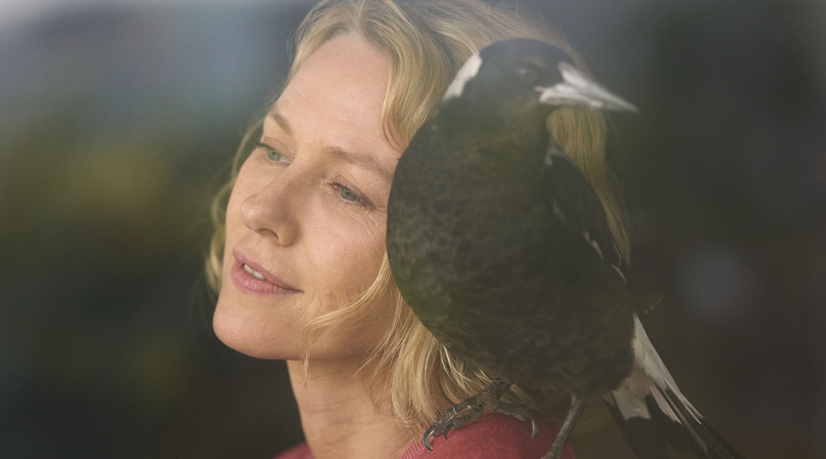 Penguin Bloom film review: Naomi Watts shines in family drama