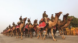 Central Vista redevelopment project, Central Vista Avenue redevelopment planning, Republic Day, Delhi news, Indian express news