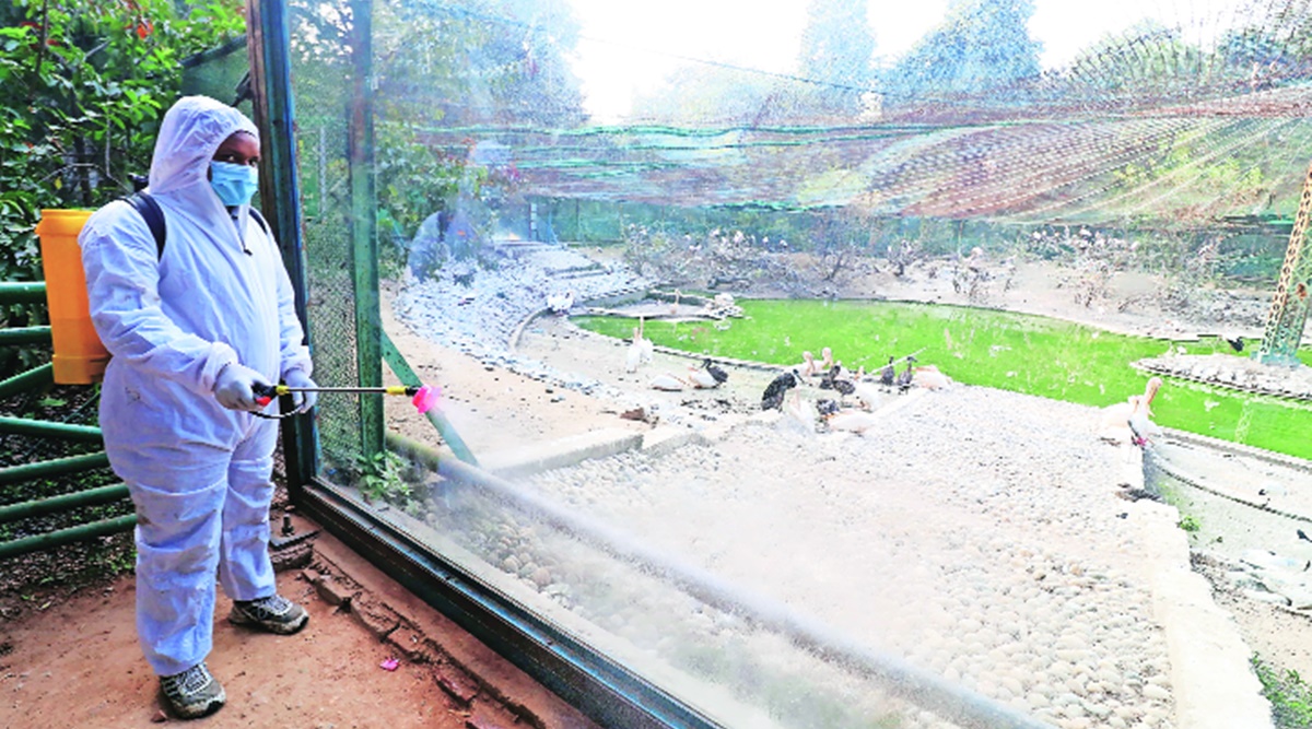 Avoid visiting bird sanctuaries, zoos': UP govt | Cities News,The Indian Express