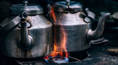 tea, benefits of drinking tea, tea for old people, should old people drink tea, tea and cognitive health, brain health, tea benefits, indian express news