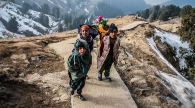 travelling in the pandemic, pandemic impact on travelling, Indian travellers, travel survey, travel trends, travelling in 2021, indian express news