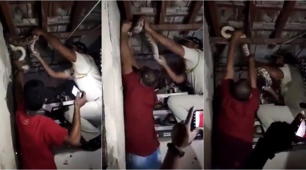 mumbai police, snake rescue video, mumbai police rescue python, mumbai police rescue snake slum, python rescued dharavi slum, viral videos, indian express