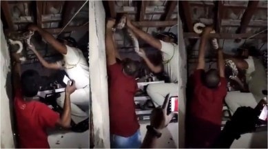 mumbai police, snake rescue video, mumbai police rescue python, mumbai police rescue snake slum, python rescued dharavi slum, viral videos, indian express