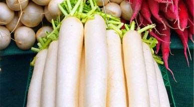 radish, winter recipes, easy recipes, radish in winter, mooli in winter, radish benefits, indianexpress, indianexpress.com