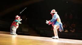 World Circus Day, Rambo Circus, Pune-based circus group, online fundraiser, pune news, indian express