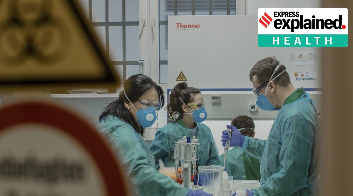 Researchers test for SARS-CoV-2, the virus that causes the COVID-19 disease, at a lab. (The New York Times: Emile Ducke, File)