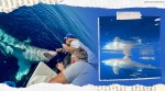 white shar bites into boat, 15-foot-long shark, Florida, florida shark story, florida viral, Erika Almond, Tampa Bay and the Gulf of Mexico, trending, indian express, indian express news